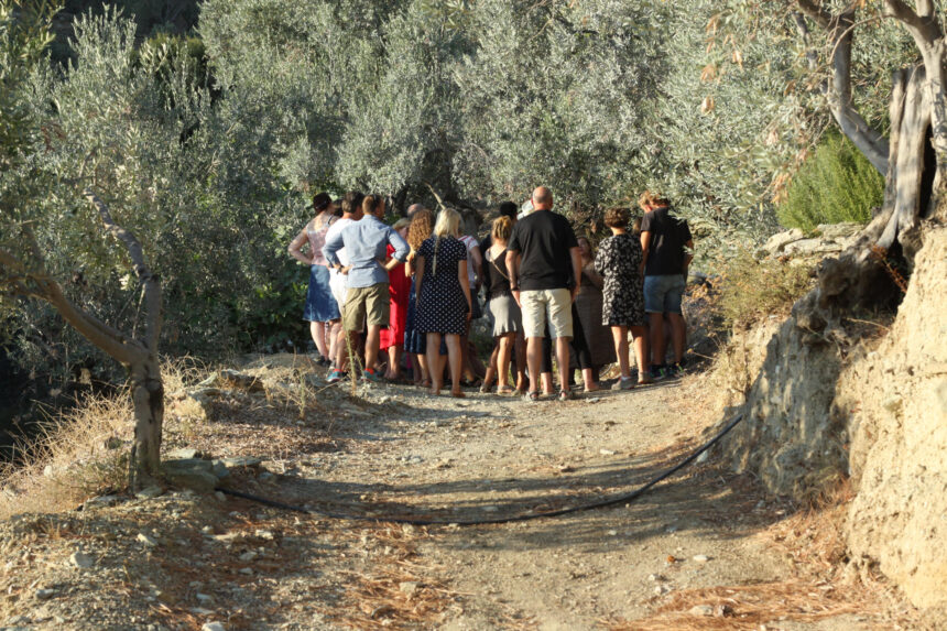 Group of guests during walk on our olive grove